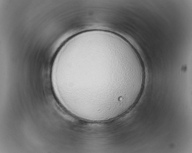 X0000114001246200910231745