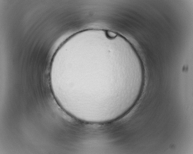 X0000114001248200910231745