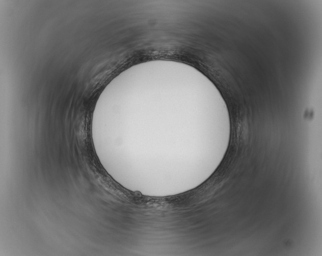 X0000114001250200910231744