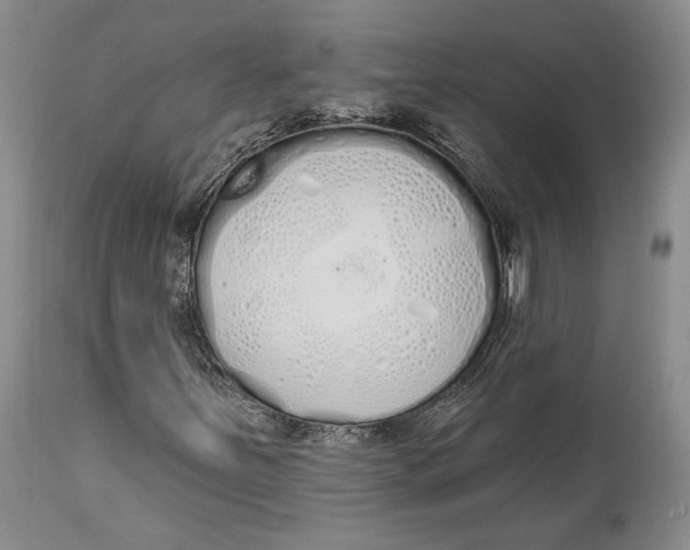 X0000114001251200910231744
