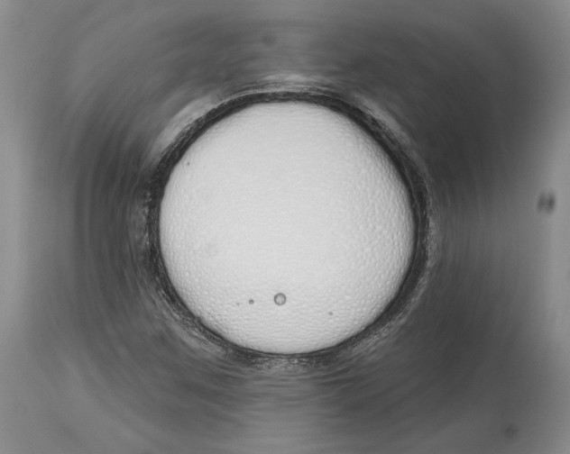 X0000114001259200910231744