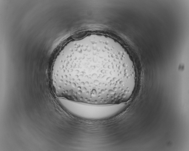 X0000114001261200910231744