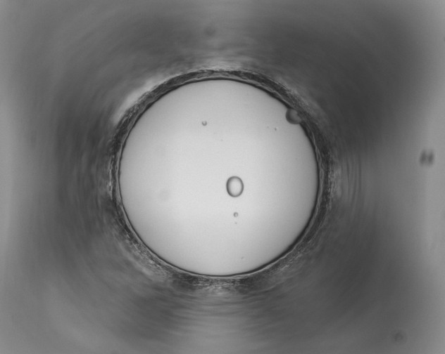 X0000114001262200910231744