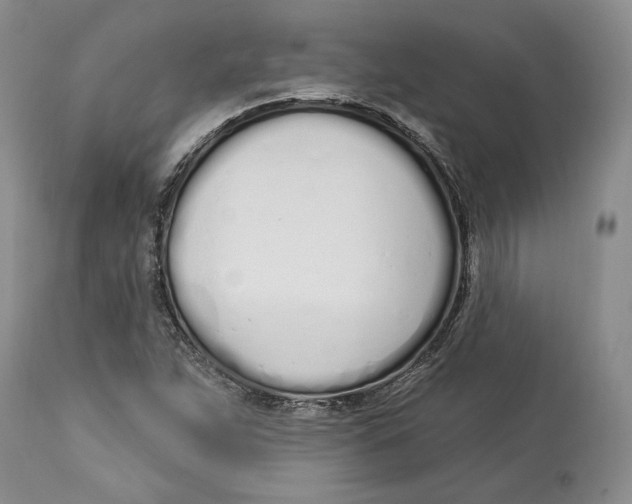 X0000114001263200910231744