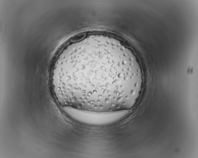X0000114001264200910231744