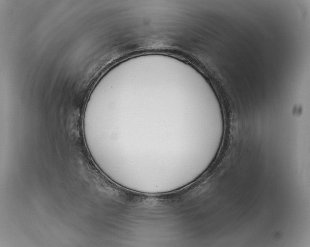 X0000114001265200910231744