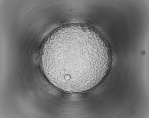 X0000114001266200910231744