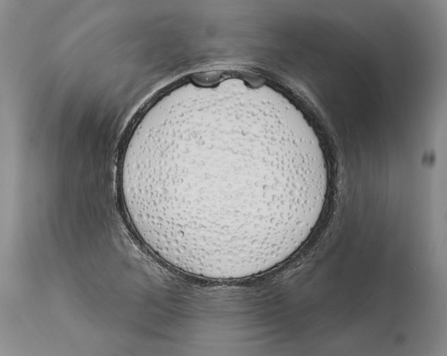 X0000114001268200910231744