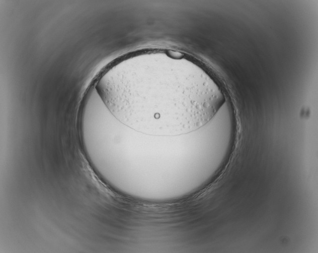 X0000114001272200910231744