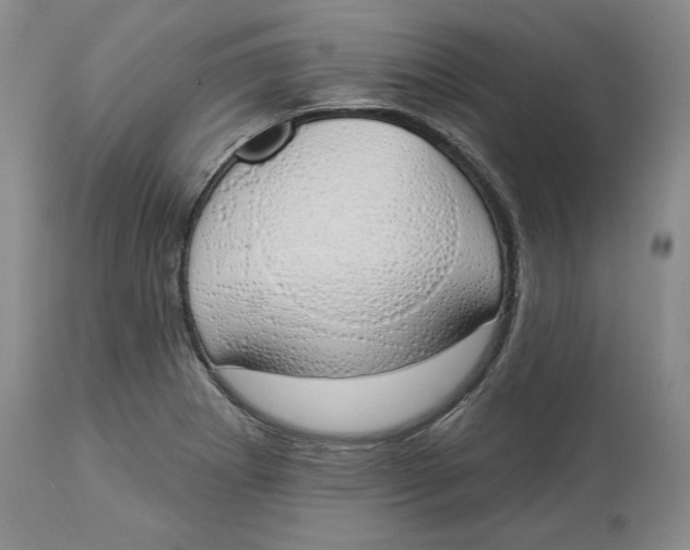 X0000114001273200910231744