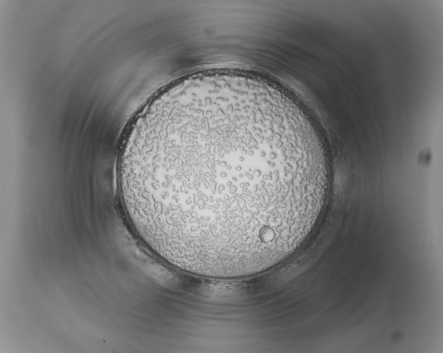 X0000114001274200910231744