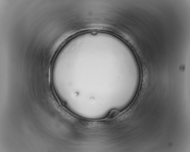 X0000114001275200910231744