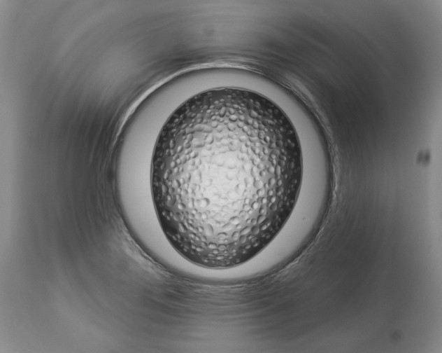 X0000114001276200910231744