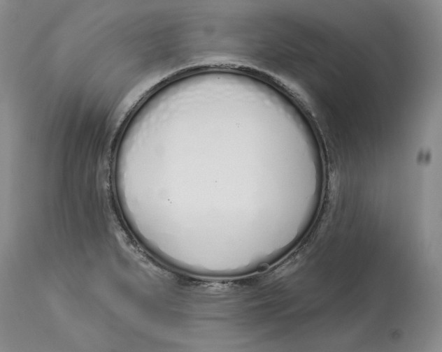 X0000114001279200910231743