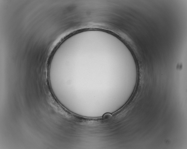 X0000114001280200910231743