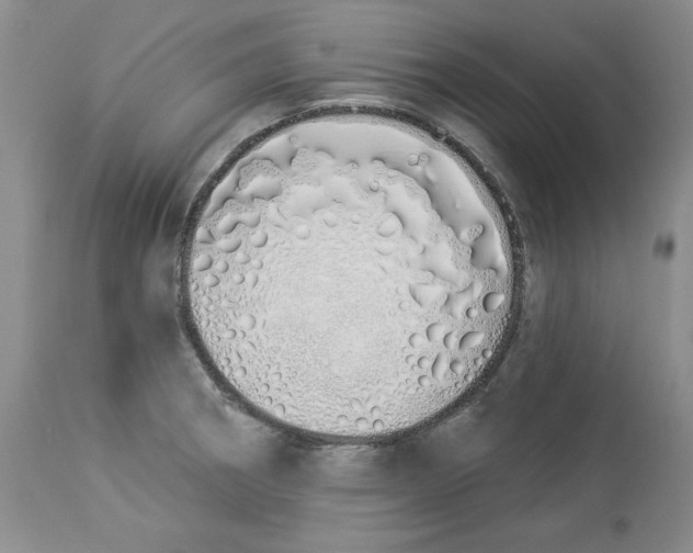 X0000114001282200910231743