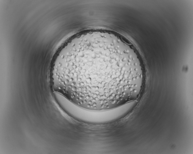 X0000114001285200910231743