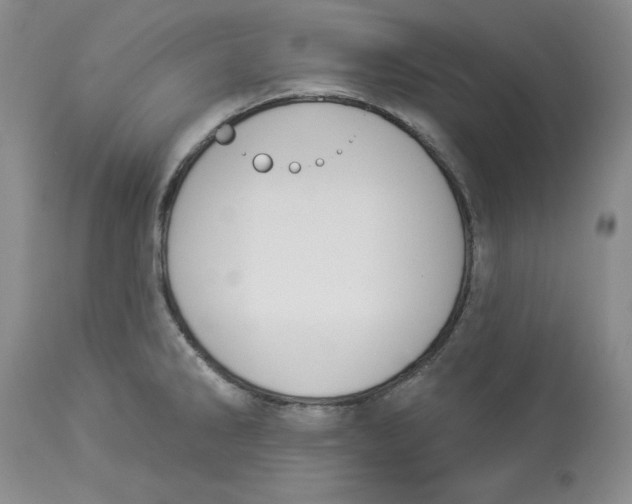 X0000114001286200910231743