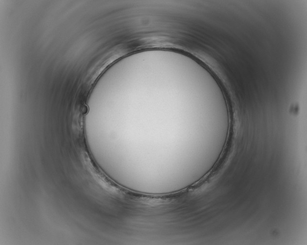 X0000114001289200910231743