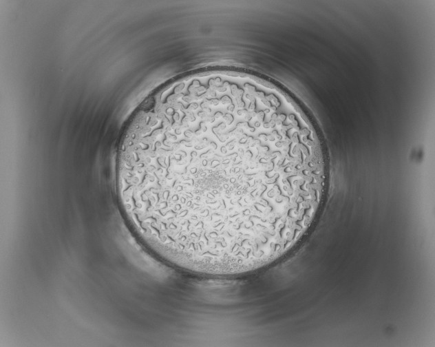 X0000114001290200910231743