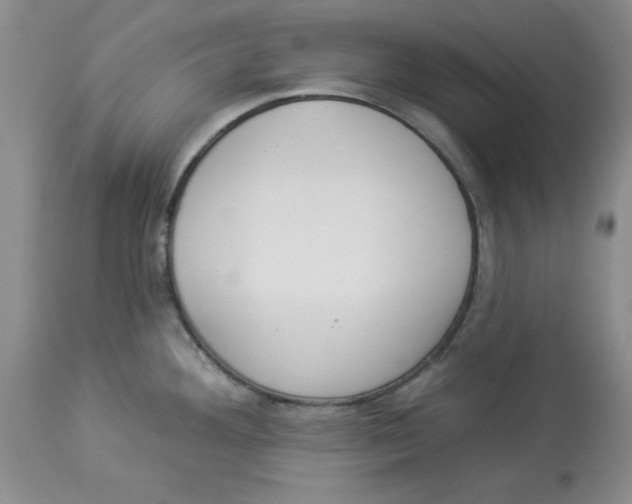 X0000114001292200910231743