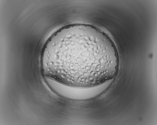 X0000114001293200910231743