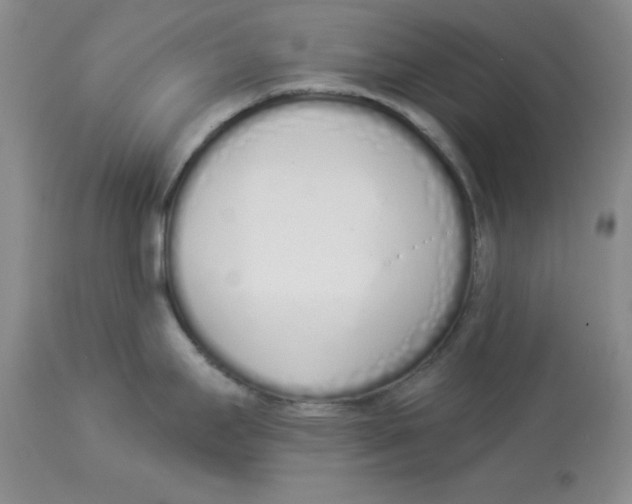 X0000114001295200910231743
