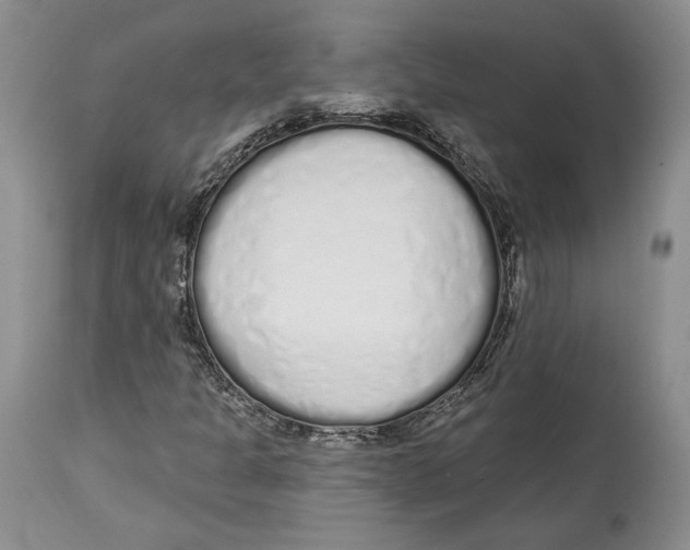 X0000114001301200910231743