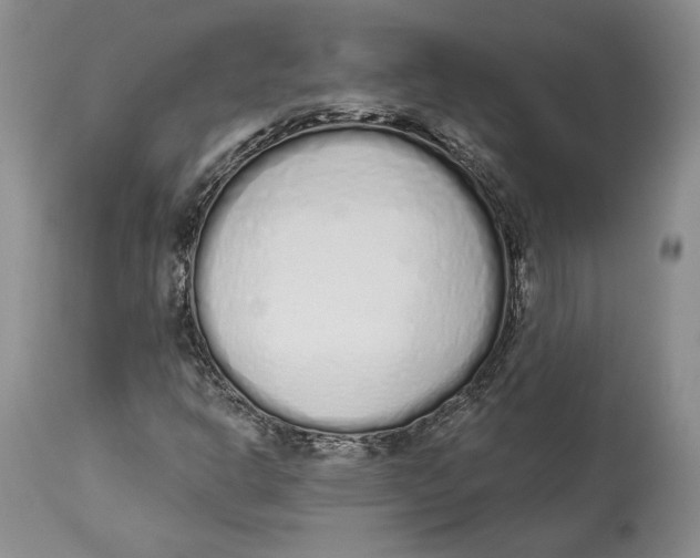 X0000114001302200910231743