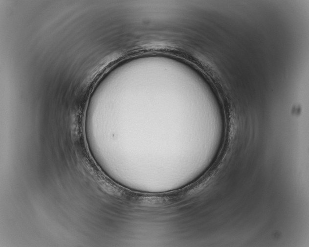 X0000114001305200910231743