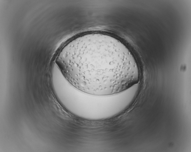 X0000114001308200910231743