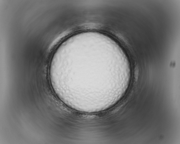 X0000114001309200910231743