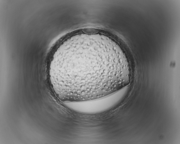 X0000114001310200910231743