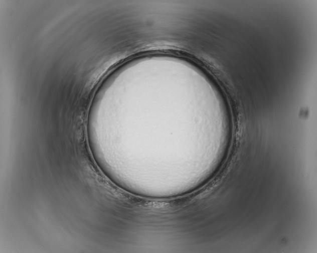 X0000114001313200910231743