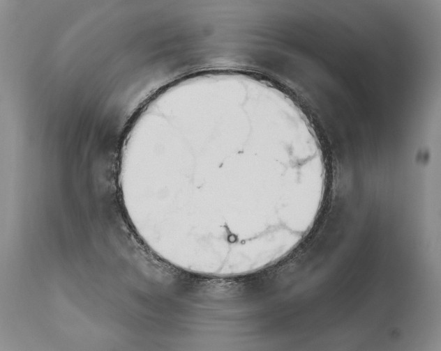 X0000114001314200910231743
