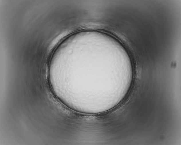 X0000114001317200910231743