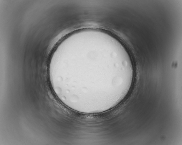 X0000114001318200910231743