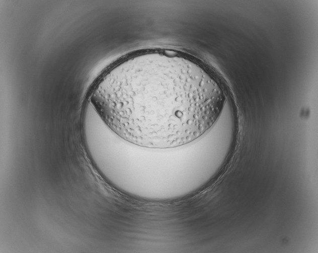 X0000114001320200910231743