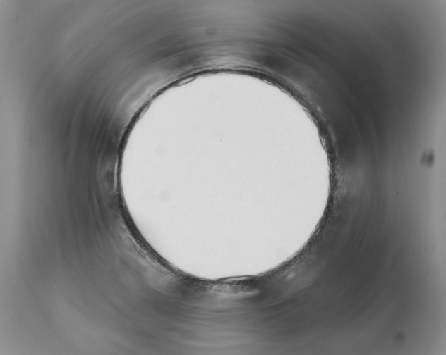X0000114001322200910231743