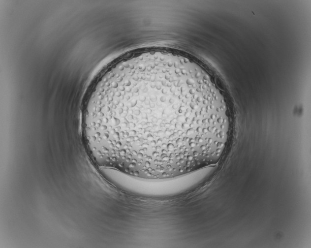 X0000114001324200910231743