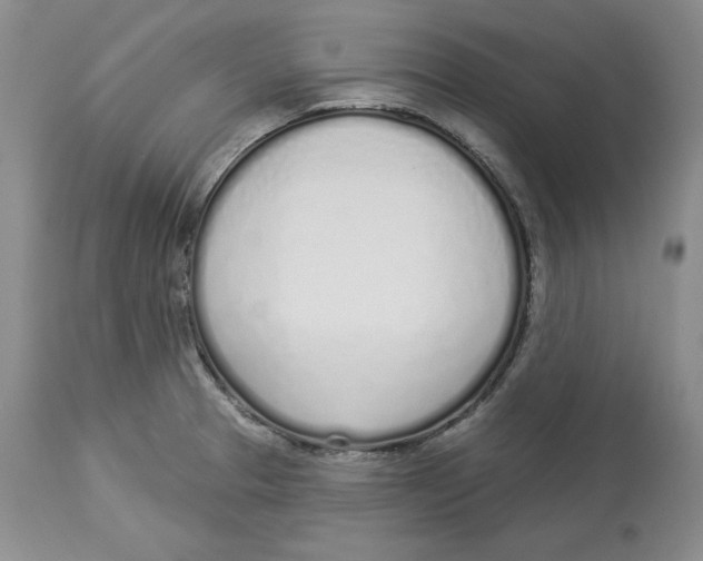 X0000114001329200910231743