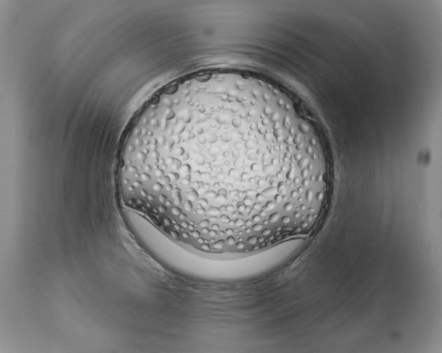 X0000114001330200910231743