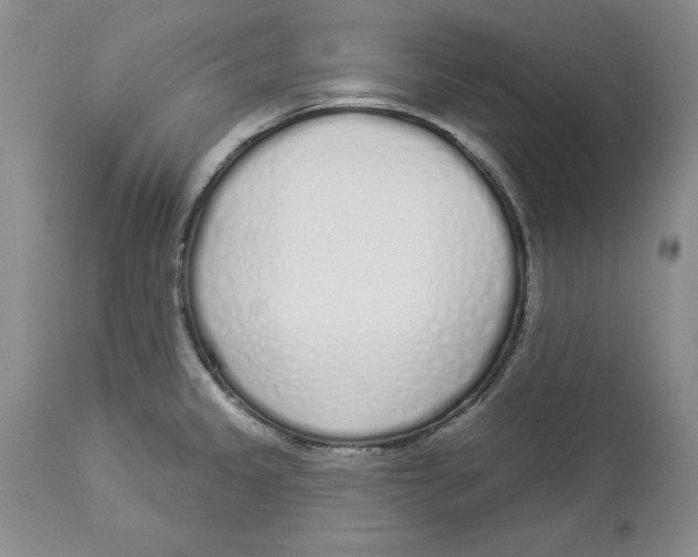 X0000114001333200910231743