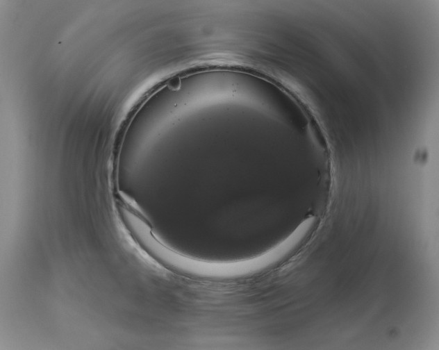 X0000114001334200910231743