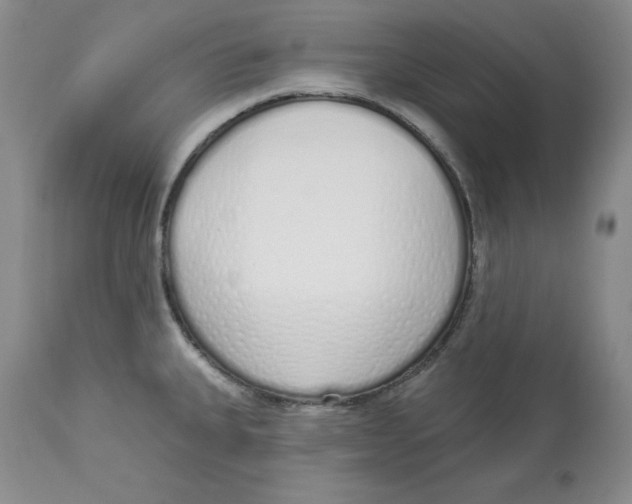 X0000114001335200910231743