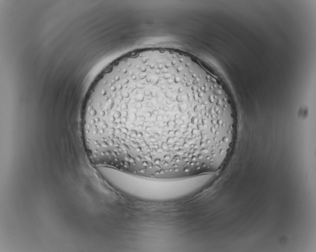X0000114001336200910231743