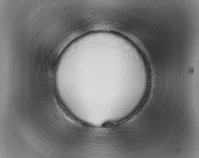 X0000114001337200910231743