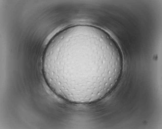 X0000114001341200910231743
