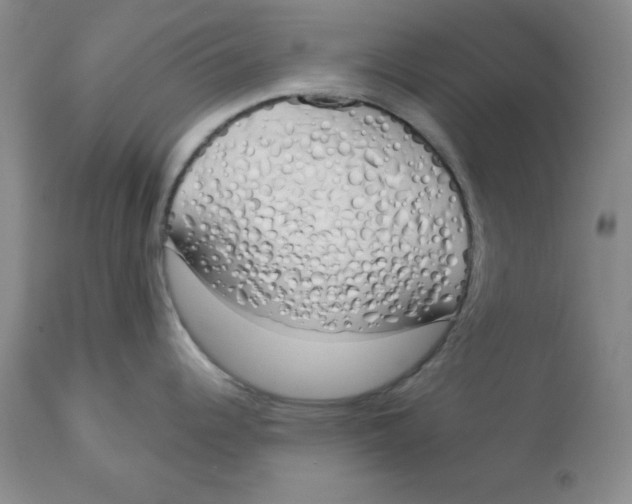 X0000114001344200910231743