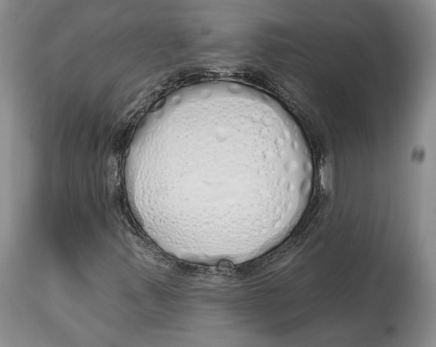 X0000114001347200910231743